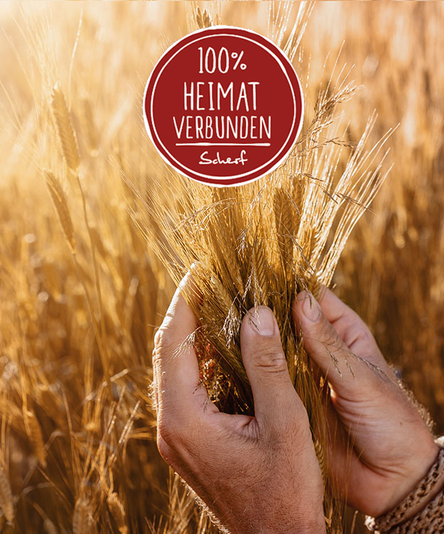 Auf dem Bild siehst du zwei Hände, die goldgelbe Getreideähren halten.